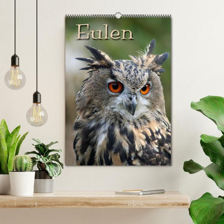 Produktbild: Eulen (Wandkalender 2026 DIN A2 hoch), CALVENDO Monatskalender