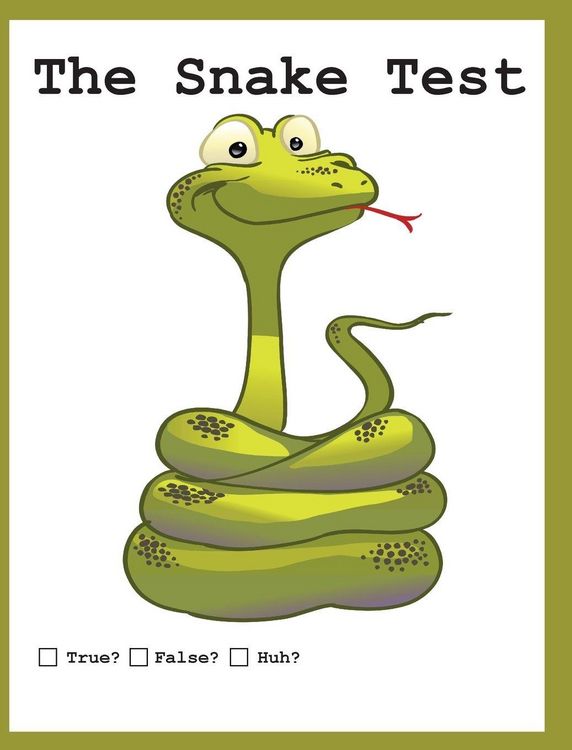 Produktbild: The Snake Test