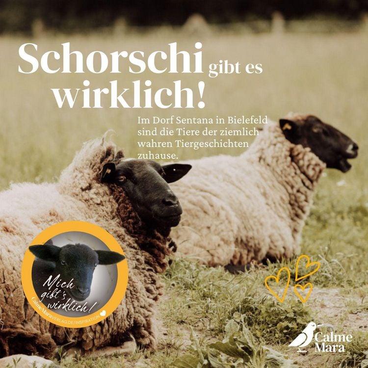 Produktbild: Schorschi und das bunte Familiending