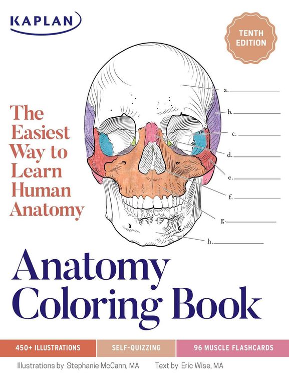 Produktbild: Anatomy Coloring Book with 450+ Realistic Medical Illustrations with Quizzes for Each