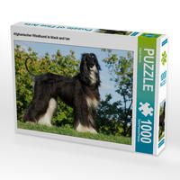 Produktbild: CALVENDO Puzzle Afghanischer Windhund in black and tan 1000 Teile Lege-Gr&ouml;&szlig;e 64 x 48 cm Foto-Puzzle Bild von Sigrid Starick