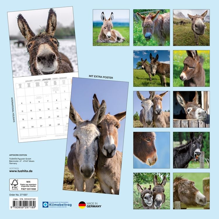 Produktbild: Esel / Donkeys 2027