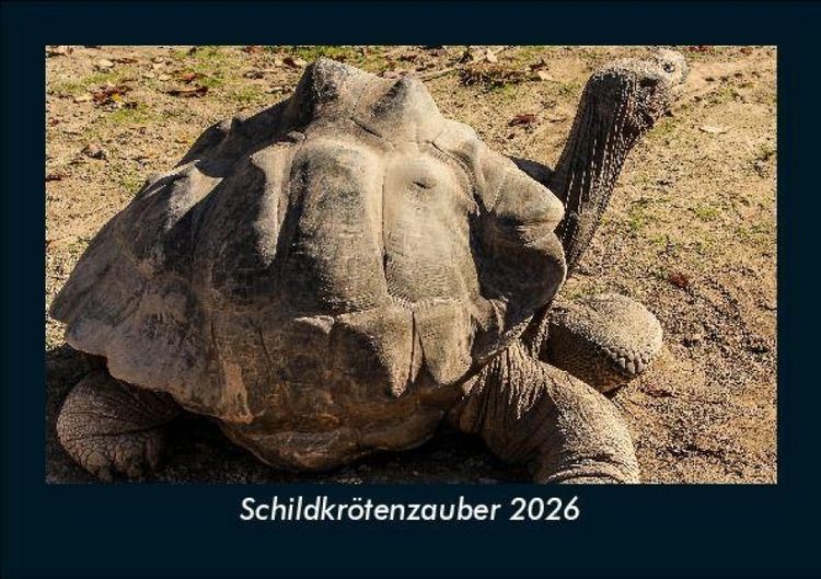 Produktbild: Schildkr&ouml;tenzauber 2026 Fotokalender DIN A5