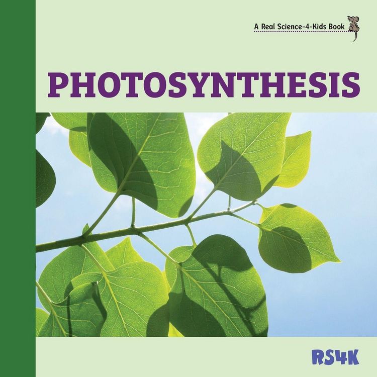 Produktbild: Photosynthesis