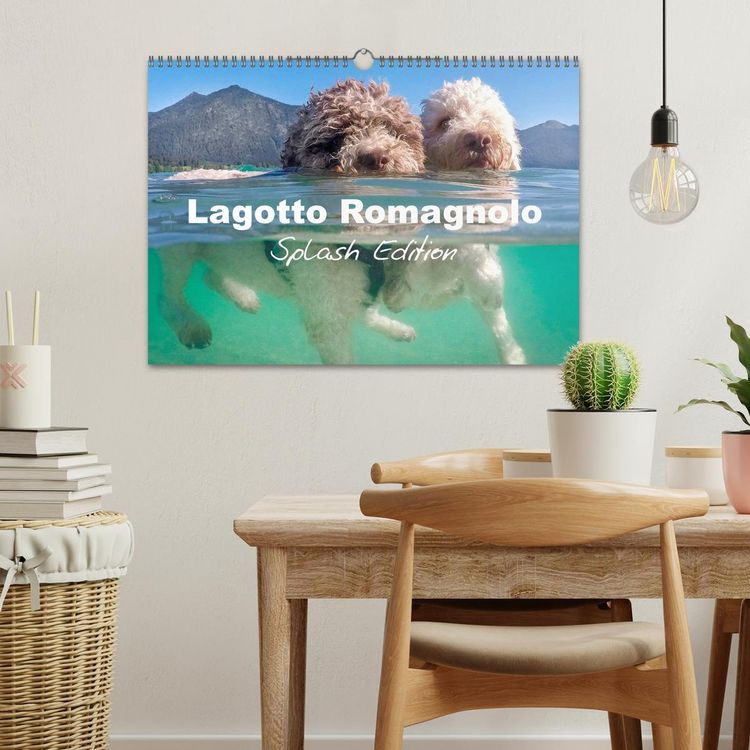 Produktbild: Lagotto Romagnolo Splash Edition (Wall Calendar 2026 DIN A3 landscape), CALVENDO 12 Month Wall Calendar