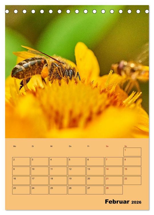 Produktbild: Die Biene und die Farbe gelb (Tischkalender 2026 DIN A5 hoch), CALVENDO Monatskalender