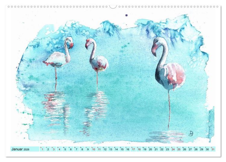 Produktbild: Faszination V&ouml;gel im Aquarell - Expressionistische Kunst von Doris Kr&uuml;ger (Wandkalender 2026 DIN A2 quer), CALVENDO Monatskalender