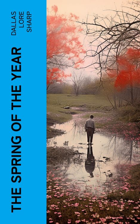 Produktbild: The Spring of the Year