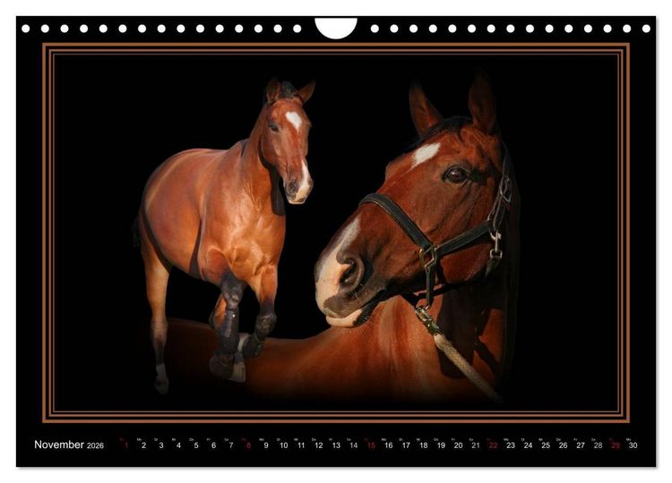Produktbild: Traumpferde-ART-Collection (Wandkalender 2026 DIN A4 quer), CALVENDO Monatskalender