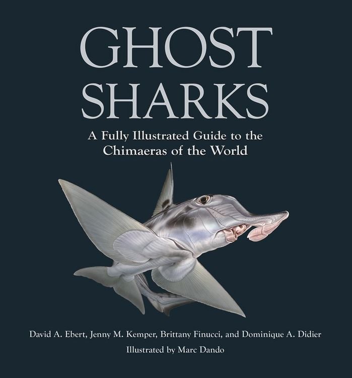Produktbild: Ghost Sharks