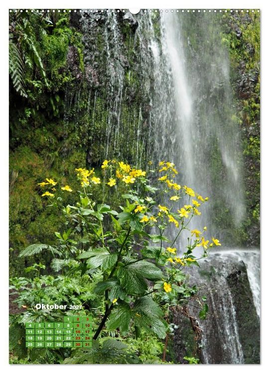 Produktbild: Madeiras Flora. Wundersame Wildblumen und exotische Geh&ouml;lze (hochwertiger Premium Wandkalender 2027 DIN A2 hoch), Kunstdruck in Hochglanz