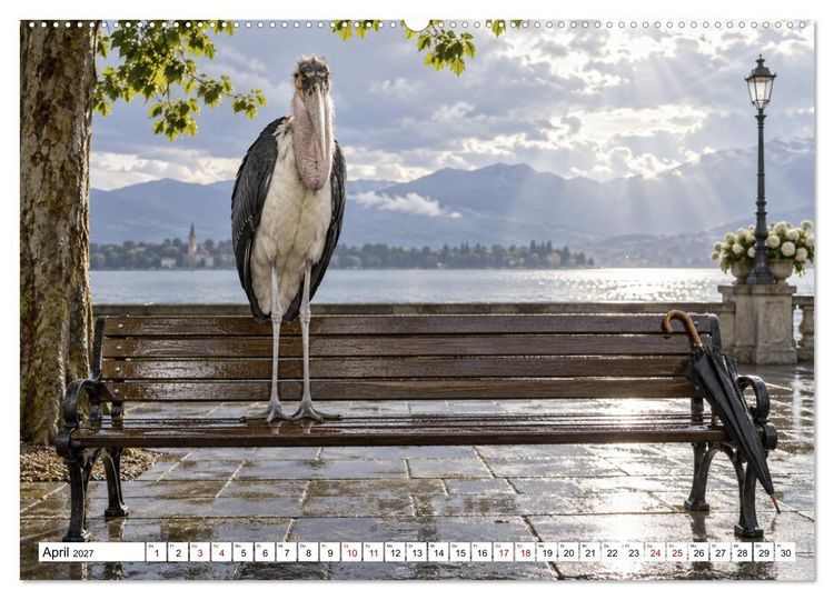 Produktbild: NICHT MEIN PROBLEM - Tiere mit Charakter (hochwertiger Premium Wandkalender 2027 DIN A2 quer), Kunstdruck in Hochglanz