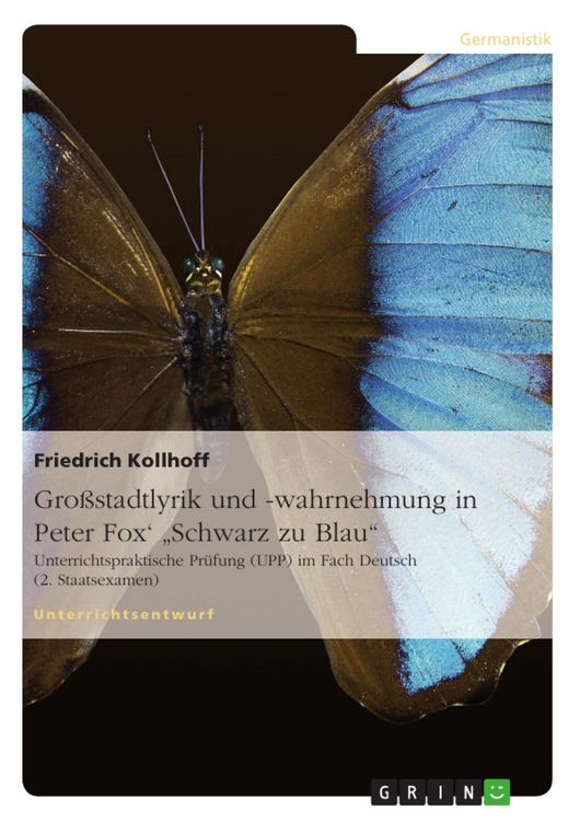 Produktbild: Gro&szlig;stadtlyrik und -wahrnehmung in Peter Fox' "Schwarz zu Blau"