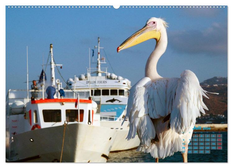 Produktbild: Liebenswertes Griechenland Amorgos und Mykonos (Wandkalender 2026 DIN A2 quer), CALVENDO Monatskalender