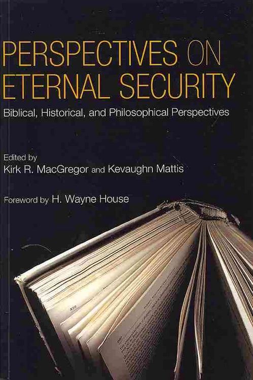 Produktbild: Perspectives on Eternal Security