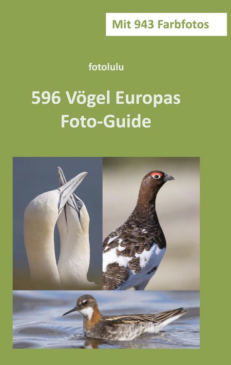 Produktbild: 596 V&ouml;gel Europas