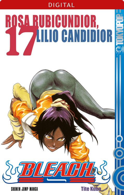 Produktbild: Bleach 17