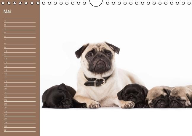 Produktbild: Ein Mops f&uuml;rs Herz (Wandkalender immerw&auml;hrend DIN A4 quer)