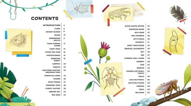 Produktbild: Weird and Wonderful Gross Animals