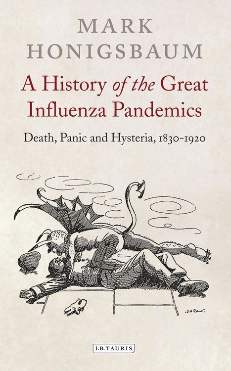 Produktbild: A History of the Great Influenza Pandemics