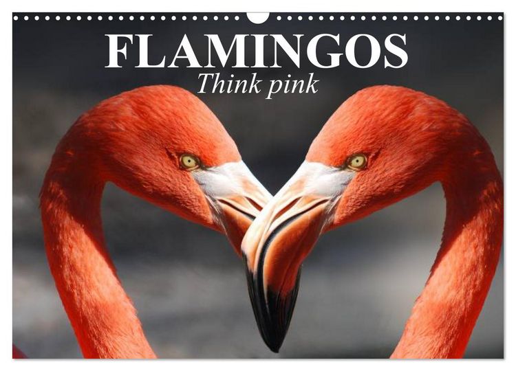 Produktbild: Flamingos Think pink (Wall Calendar 2026 DIN A3 landscape), CALVENDO 12 Month Wall Calendar