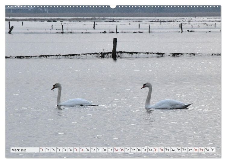Produktbild: Hochwasser als Teil der Umwelt (hochwertiger Premium Wandkalender 2026 DIN A2 quer), Kunstdruck in Hochglanz