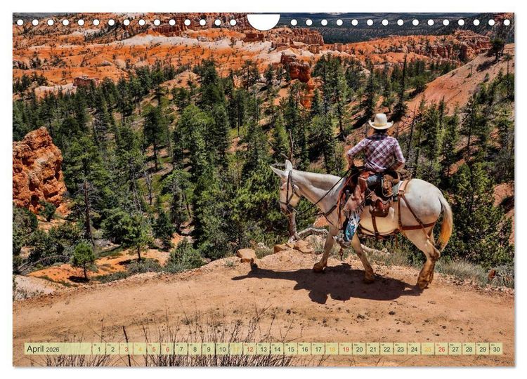 Produktbild: Nationalparks der USA - atemberaubend sch&ouml;n (Wandkalender 2026 DIN A4 quer), CALVENDO Monatskalender
