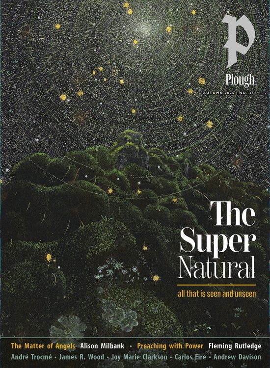Produktbild: Plough Quarterly No. 45 - The Supernatural