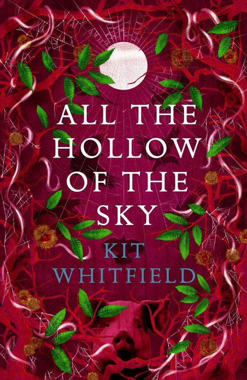 Produktbild: Whitfield, K: All the Hollow of the Sky