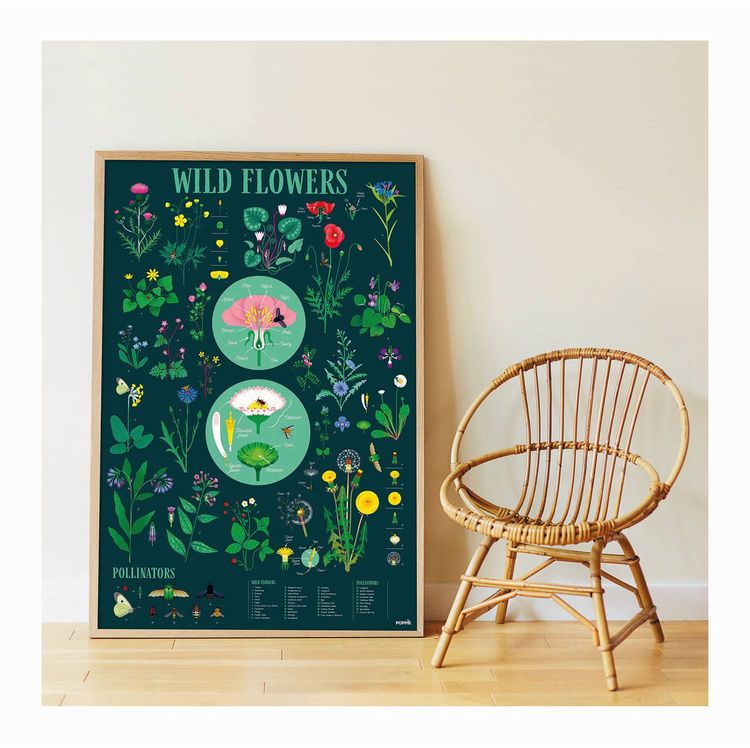 Produktbild: POPPIK - Lernposter & Sticker Botanik
