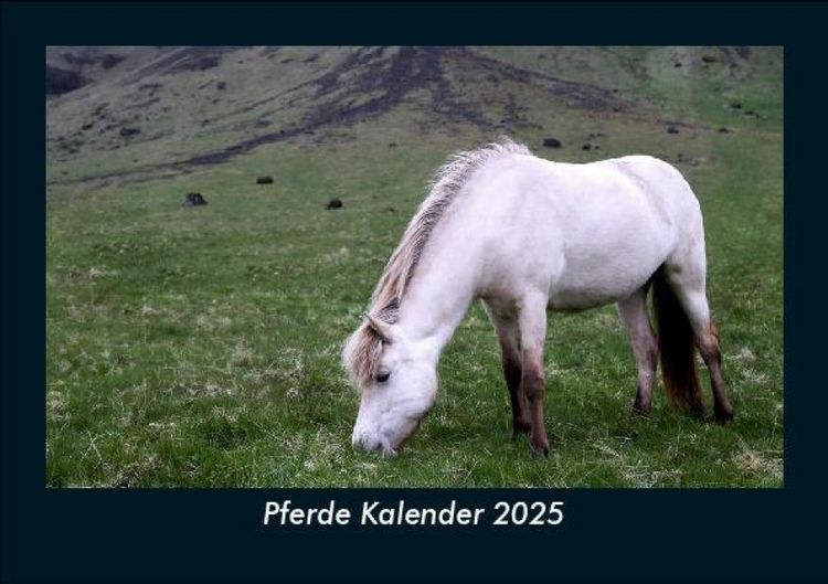 Produktbild: Pferde Kalender 2025 Fotokalender DIN A5