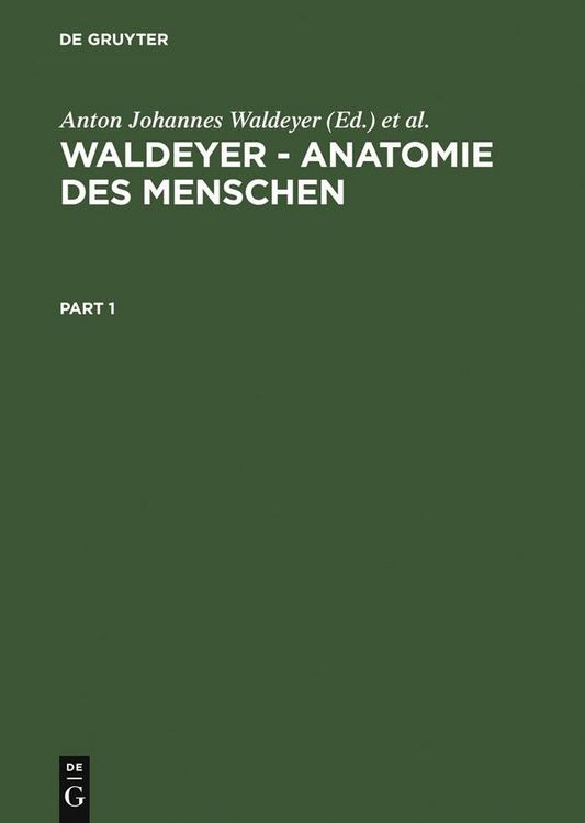 Produktbild: Waldeyer - Anatomie des Menschen