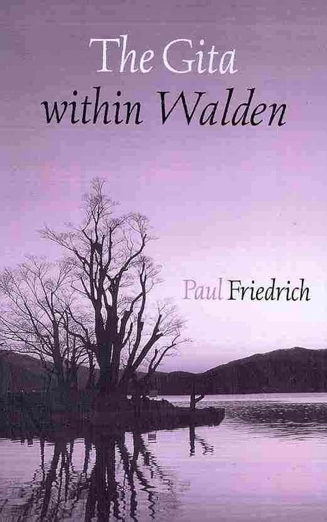 Produktbild: The Gita within Walden