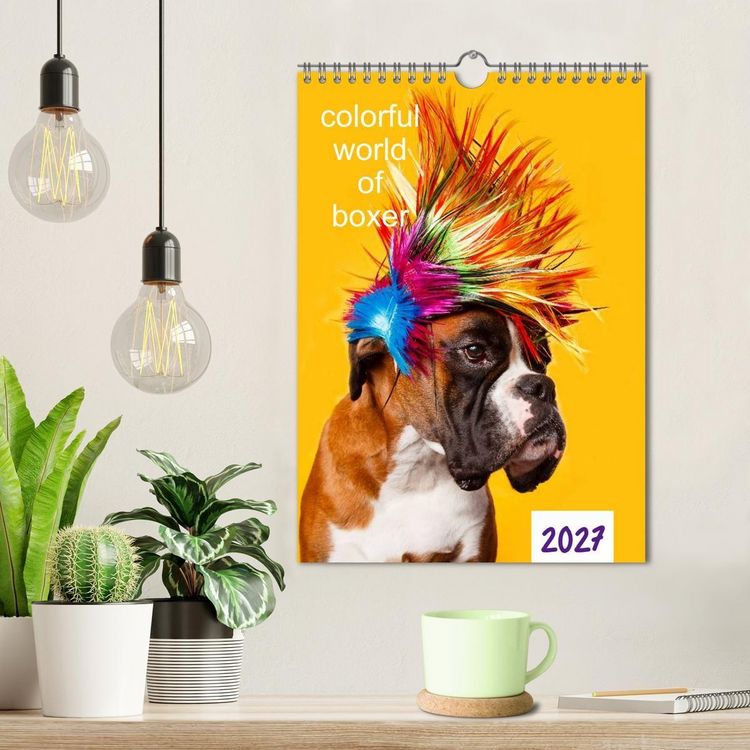 Produktbild: colorful world of boxer 2027 (Wandkalender 2027 DIN A4 hoch), CALVENDO Monatskalender