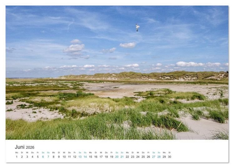 Produktbild: Amrum: Natur und Freiheit (hochwertiger Premium Wandkalender 2026 DIN A2 quer), Kunstdruck in Hochglanz