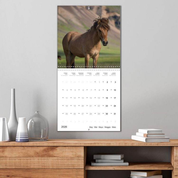 Produktbild: Icelandic Horses - wild and free (Wall Calendar 2026 12 &times; 12 Inch) CALVENDO 12 Month Wall Calendar