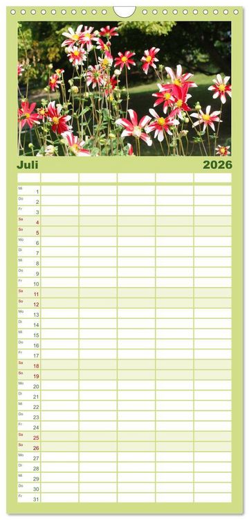 Produktbild: Familienplaner 2026 - Traumhafte Dahlien mit 5 Spalten (Wandkalender, 21 x 45 cm) CALVENDO