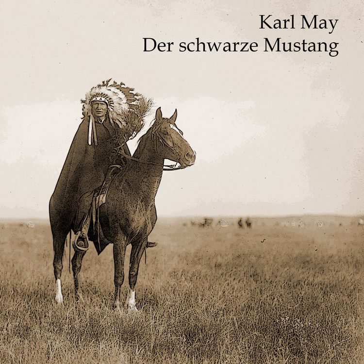 Produktbild: Der schwarze Mustang