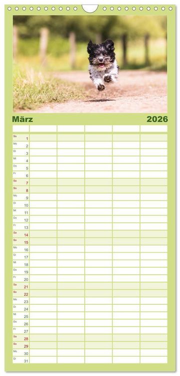 Produktbild: Familienplaner 2026 - Spa&szlig; mit Havanesern mit 5 Spalten (Wandkalender, 21 x 45 cm) CALVENDO