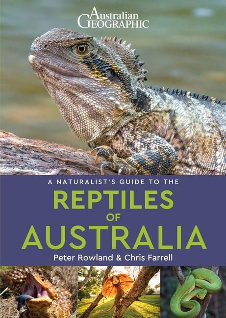 Produktbild: A Naturalist's Guide to the Reptiles of Australia (2nd edition)