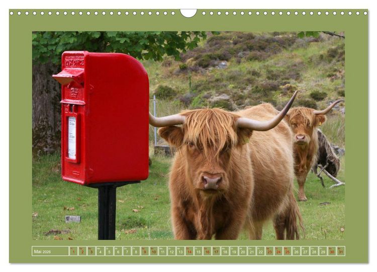 Produktbild: Sie haben Post - Briefk&auml;sten in Schottland (Wandkalender 2026 DIN A3 quer), CALVENDO Monatskalender