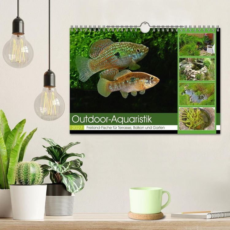 Produktbild: Outdoor-Aquaristik (Wandkalender 2027 DIN A4 quer), CALVENDO Monatskalender