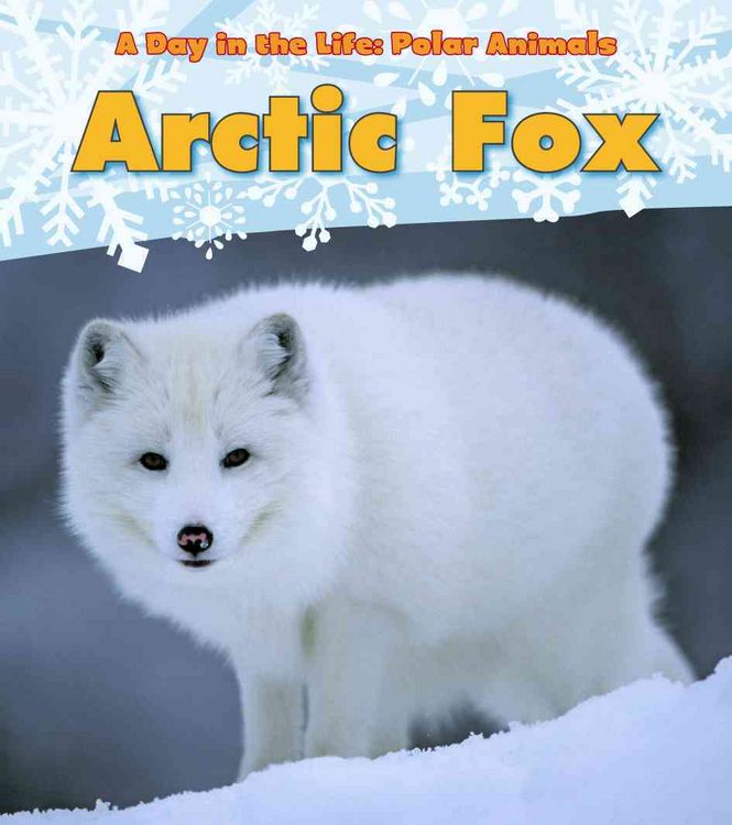 Produktbild: Arctic Fox