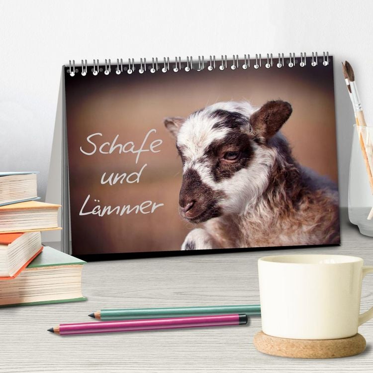 Produktbild: Schafe und L&auml;mmer (Tischkalender 2026 DIN A5 quer), CALVENDO Monatskalender