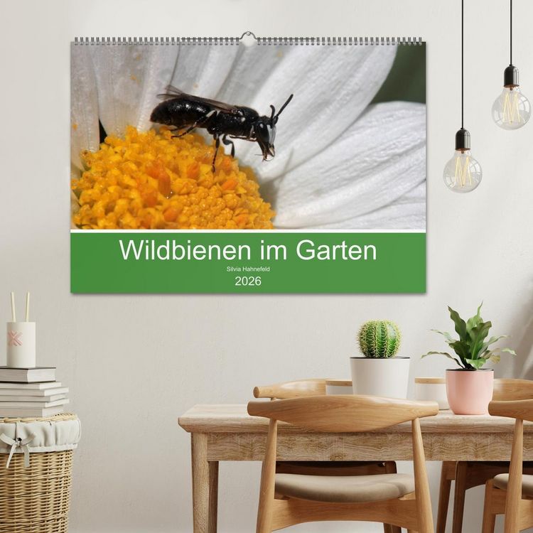 Produktbild: Wildbienen im Garten (Wandkalender 2026 DIN A2 quer), CALVENDO Monatskalender