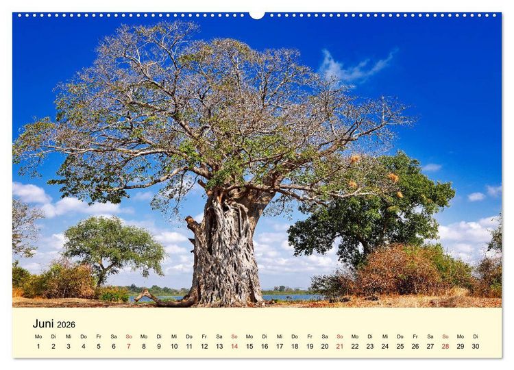 Produktbild: Traumhaftes Malawi (Wandkalender 2026 DIN A2 quer), CALVENDO Monatskalender