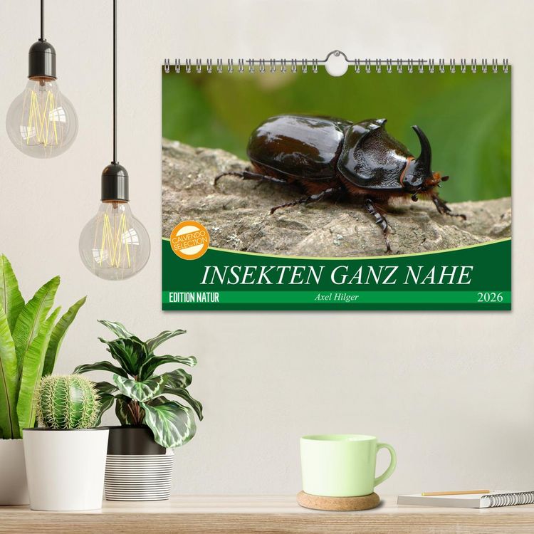 Produktbild: INSEKTEN GANZ NAHE (Wandkalender 2026 DIN A4 quer), CALVENDO Monatskalender