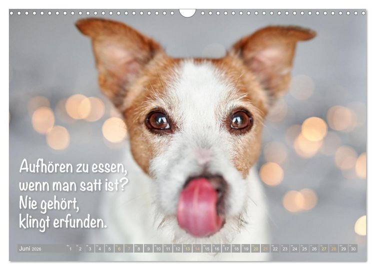 Produktbild: Jack Russell Terrier: Komm spielen (Wandkalender 2026 DIN A3 quer), CALVENDO Monatskalender
