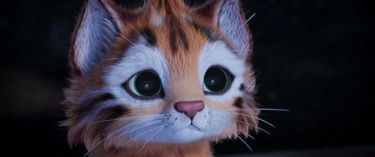 Produktbild: Heidi - Die Legende vom Luchs