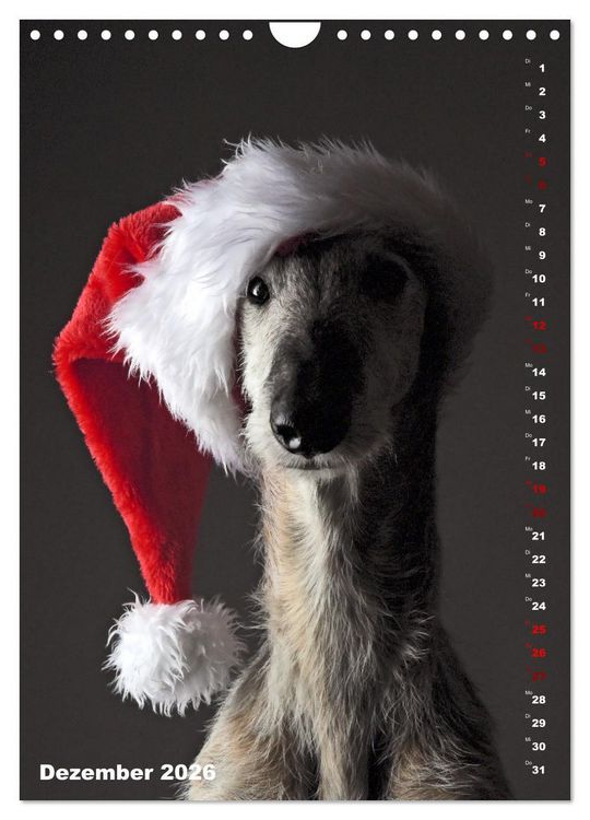 Produktbild: dogmuse deluxe (Wandkalender 2026 DIN A4 hoch), CALVENDO Monatskalender